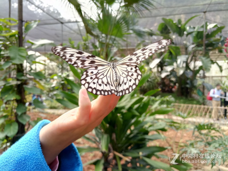 ＃魅族PRO 6s试用＃— 四轴光学防抖魅族PRO6S手机