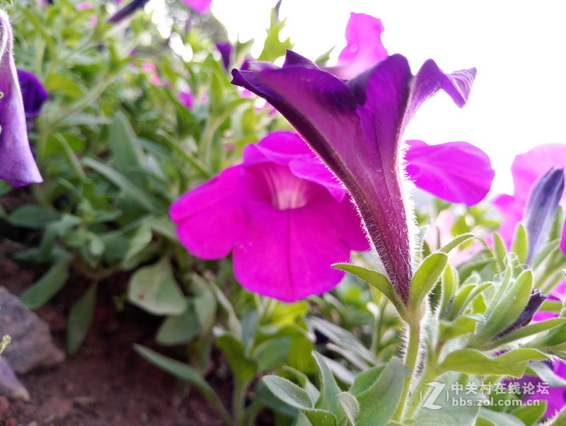 ＃魅族PRO 6s试用＃— 魅族四轴光学防抖PRO6S手机深度评测