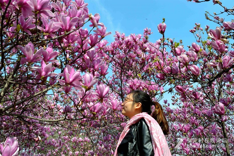 #ZOL月赛-四月物语#春光明媚