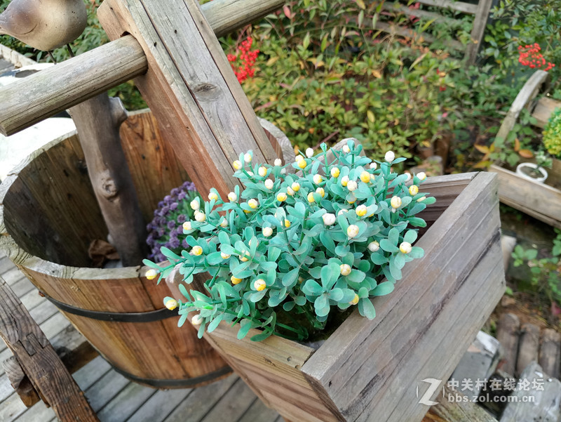 ＃魅族PRO 6s试用＃时间之箭，是渴望已久的王者“摄”临-魅族PRO6S系统、硬件综测