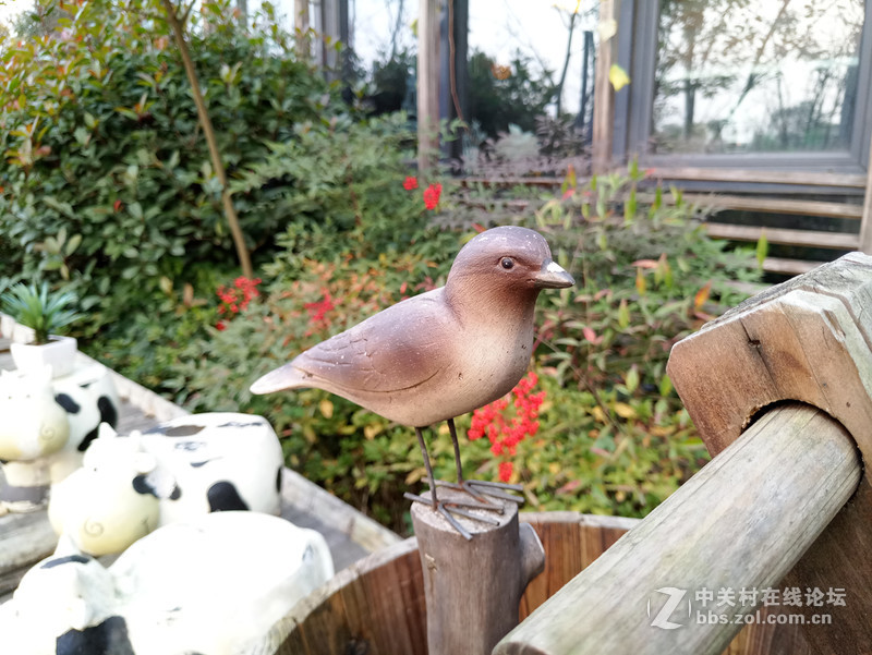 ＃魅族PRO 6s试用＃时间之箭，是渴望已久的王者“摄”临-魅族PRO6S系统、硬件综测