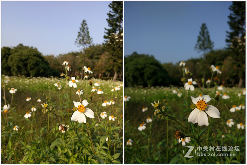 ＃魅族PRO 6s试用＃手机拍大片，魅族PRO 6s带你玩转手机摄影