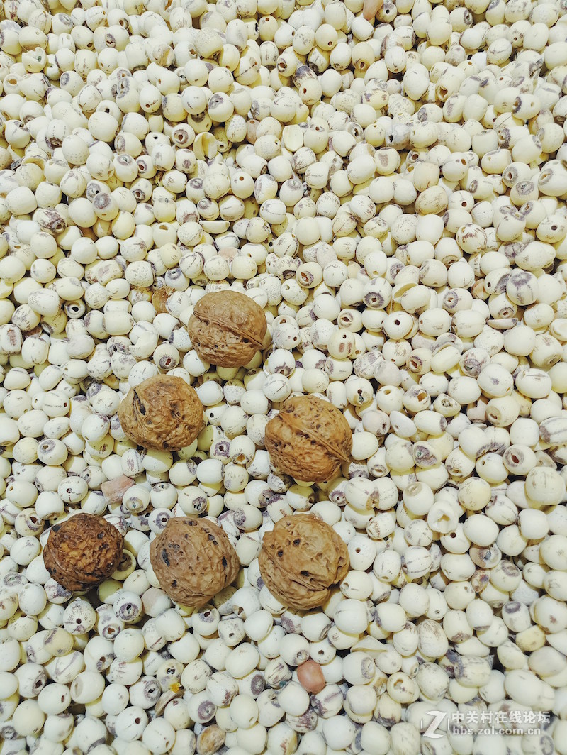 ＃魅族PRO 6s试用＃手机拍大片，魅族PRO 6s带你玩转手机摄影