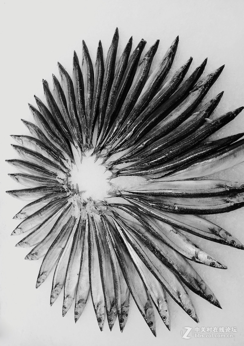 ＃魅族PRO 6s试用＃手机拍大片，魅族PRO 6s带你玩转手机摄影