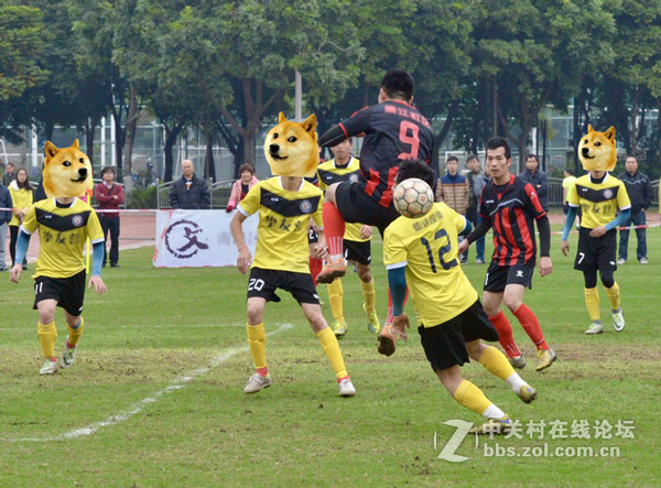 帮哥们选的，各路大神看看我选的配置合不合适！