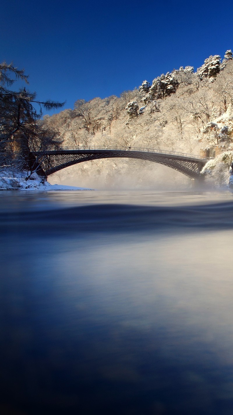 win10聚焦壁纸7p-中关村在线手机论坛