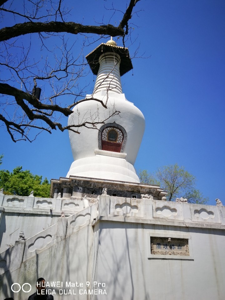 mater9 pro拍照还是不错的