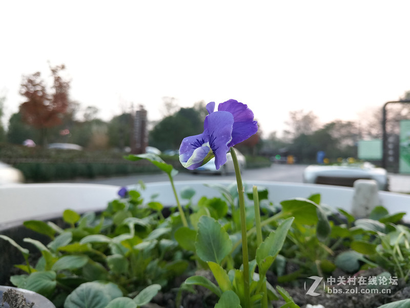 ＃魅族PRO 6s试用＃时间之箭，是渴望已久的王者“摄”临-魅族PRO6S系统、硬件综测