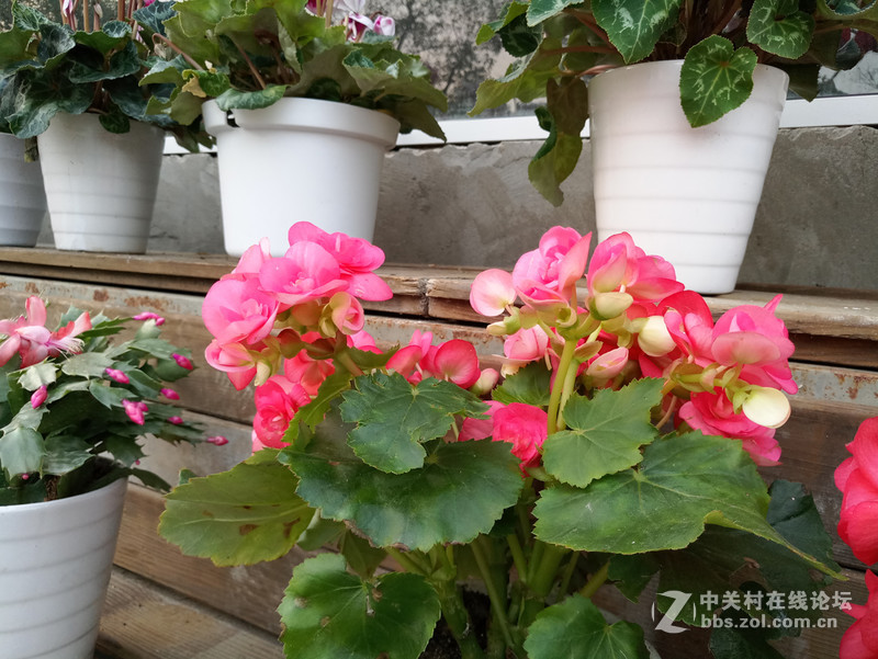 ＃魅族PRO 6s试用＃时间之箭，是渴望已久的王者“摄”临-魅族PRO6S系统、硬件综测