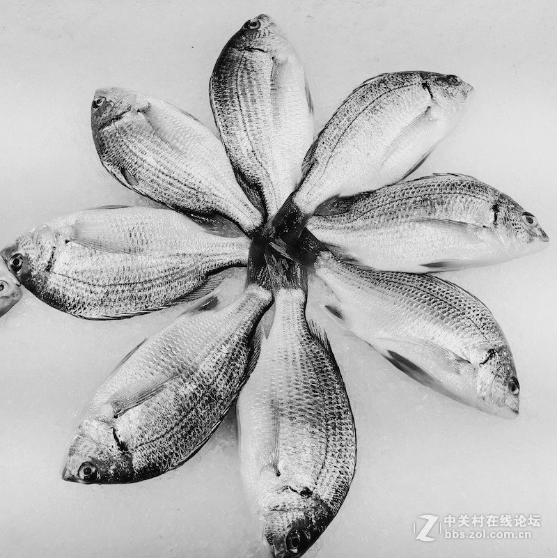 ＃魅族PRO 6s试用＃手机拍大片，魅族PRO 6s带你玩转手机摄影