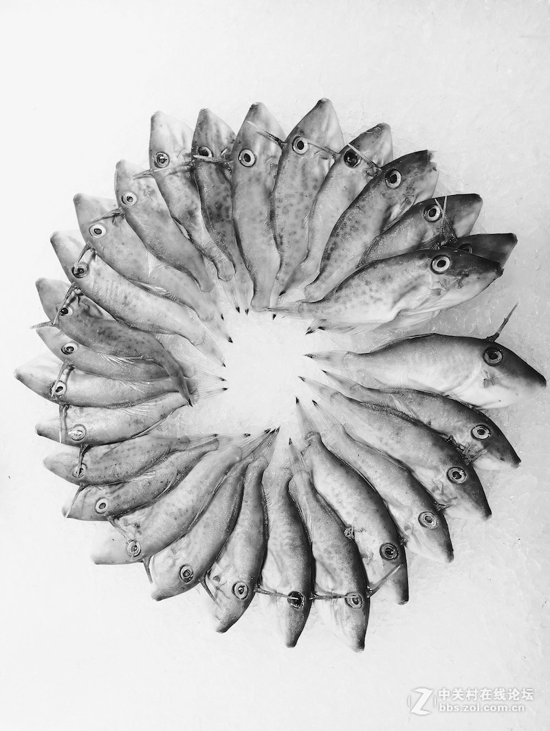 ＃魅族PRO 6s试用＃手机拍大片，魅族PRO 6s带你玩转手机摄影