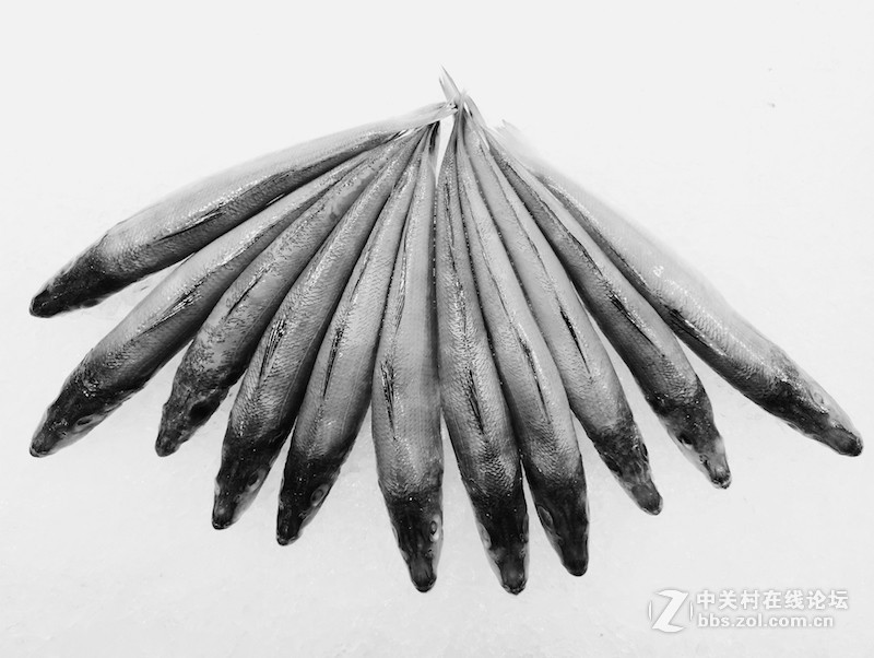 ＃魅族PRO 6s试用＃手机拍大片，魅族PRO 6s带你玩转手机摄影