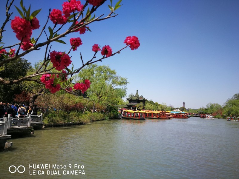 mater9 pro拍照还是不错的