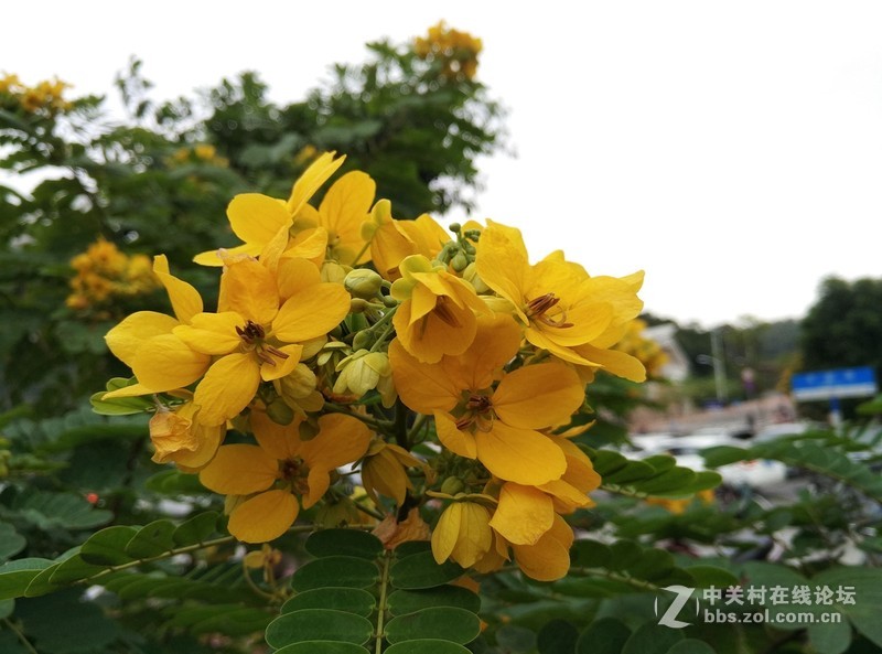 独具一格谦谦君子，360奇酷旗舰版30天深度体验！