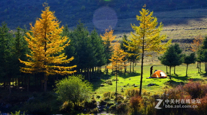 #ZOL国庆随手拍# 金秋青海之旅