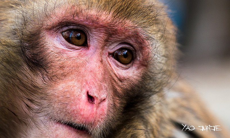 三阳135 F2第一帖.... 杂片几张