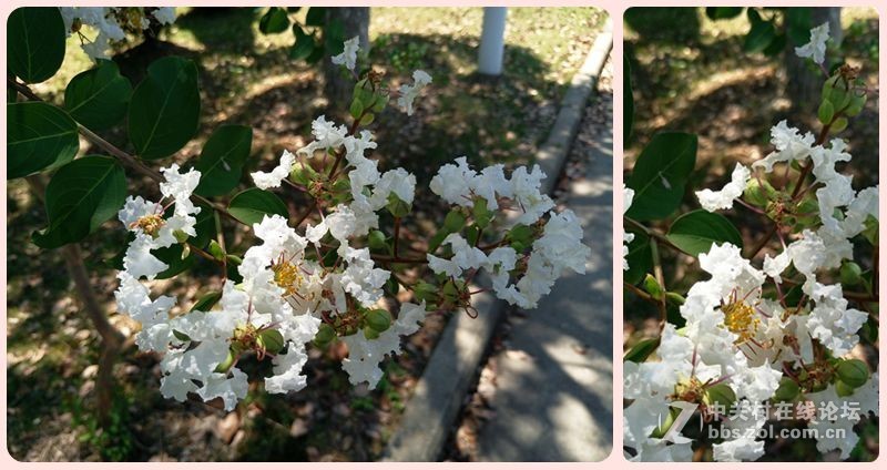 ＃给大家走了条路＃均衡之妙——魅族MX6详细剖析