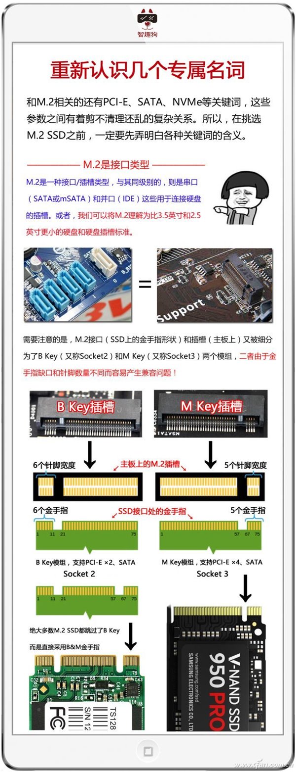 M.2/PCI-E/NVMe/SATA都是啥？一文看懂SSD