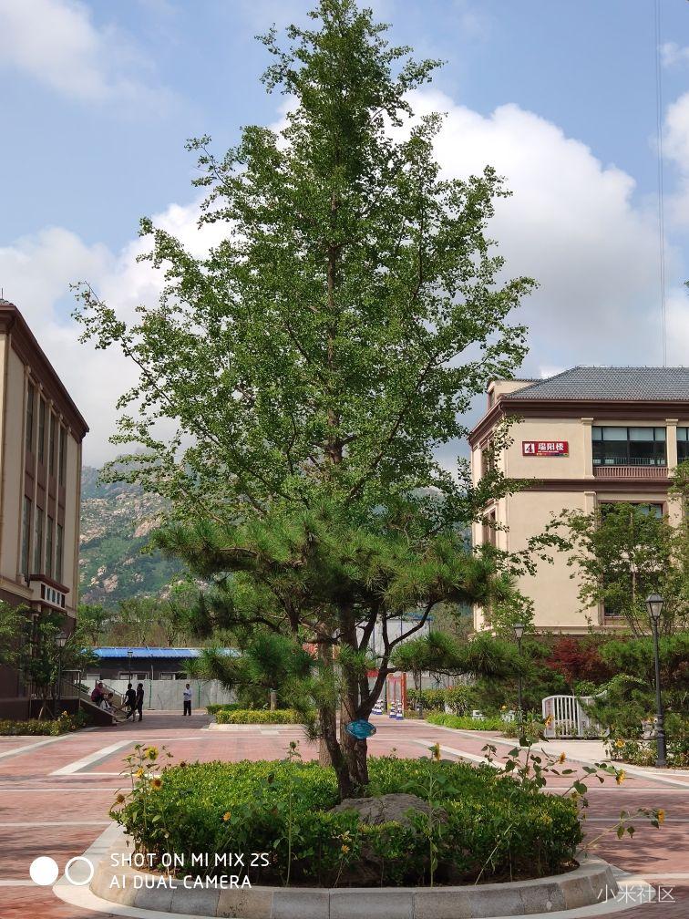 夏日午后的小学