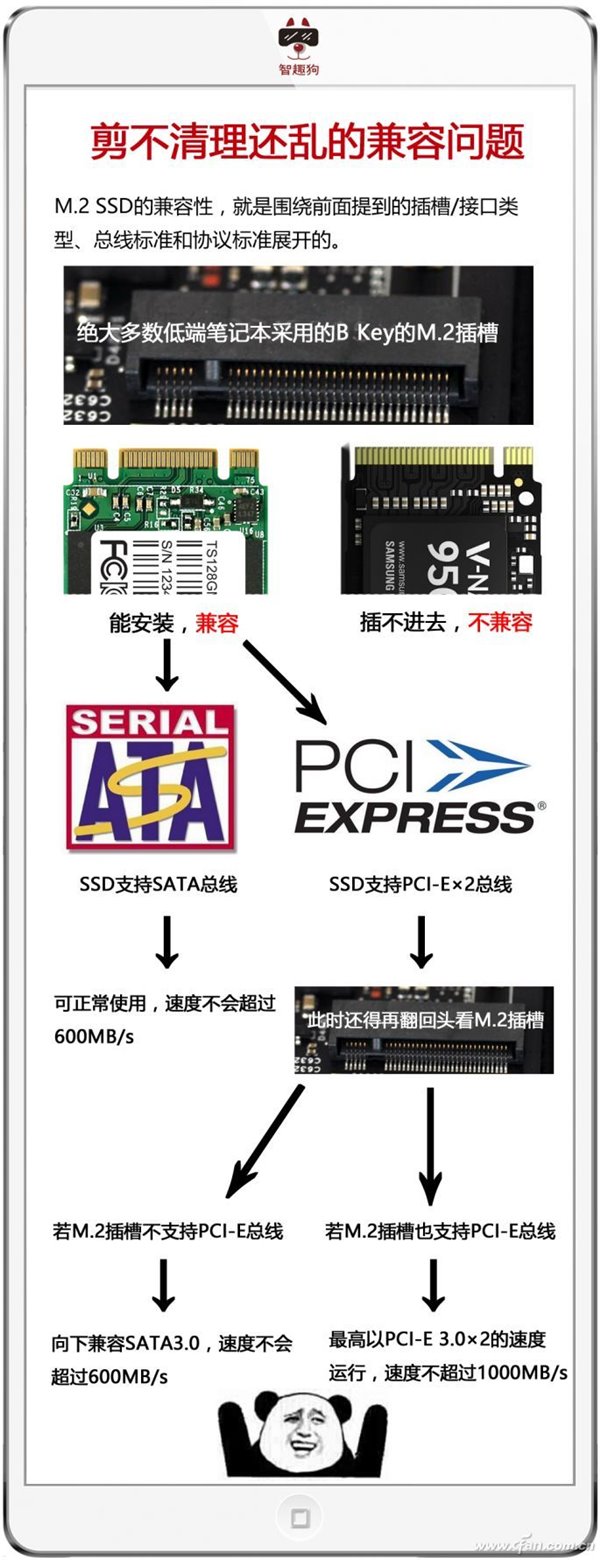 M.2/PCI-E/NVMe/SATA都是啥？一文看懂SSD
