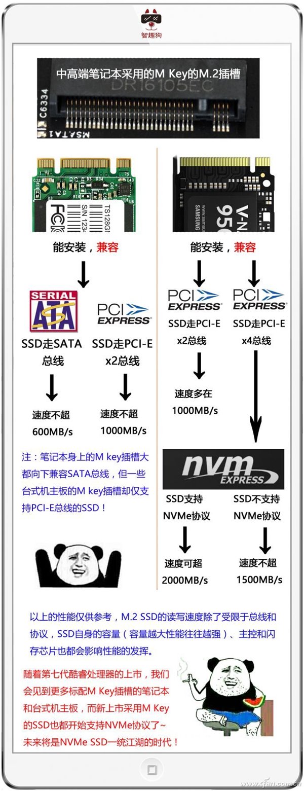M.2/PCI-E/NVMe/SATA都是啥？一文看懂SSD