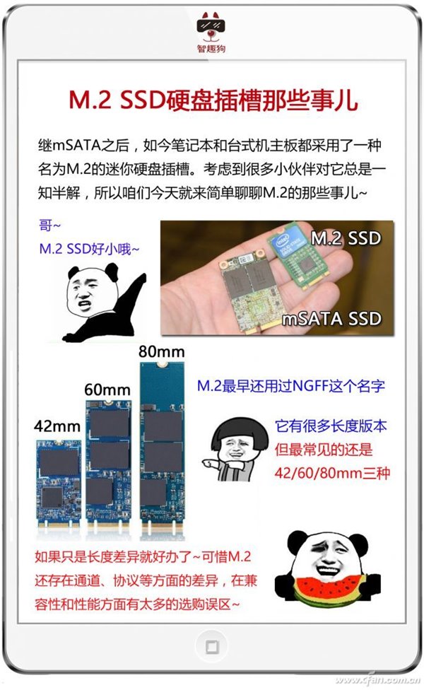 M.2/PCI-E/NVMe/SATA都是啥？一文看懂SSD
