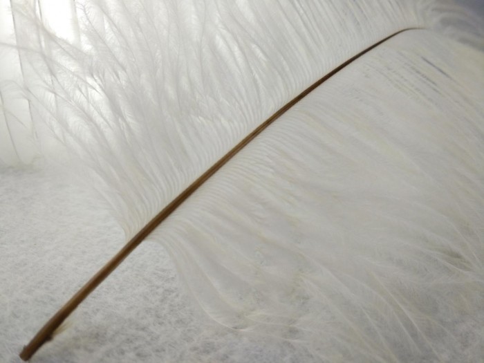 真机全面测评，vivo X9Plus还能称霸2017吗？