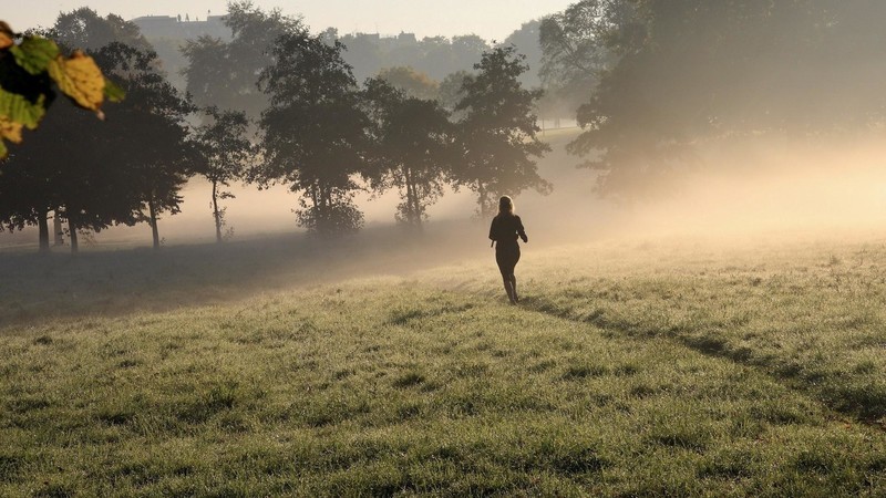 【V粉壁纸】清晨的雾高清桌面壁纸