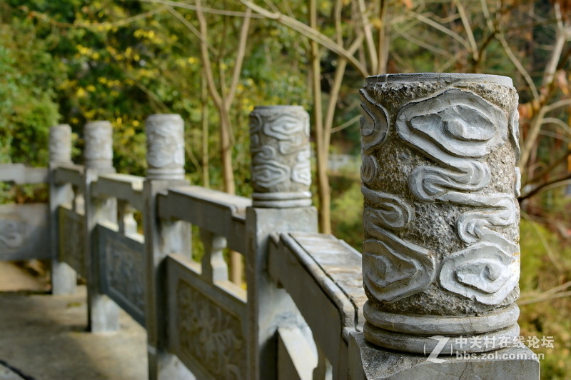 新入定焦镜试拍，感觉不错，以后这个当套头用