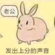 华为nova 2全网通s的免费换屏能在别的地方换吗