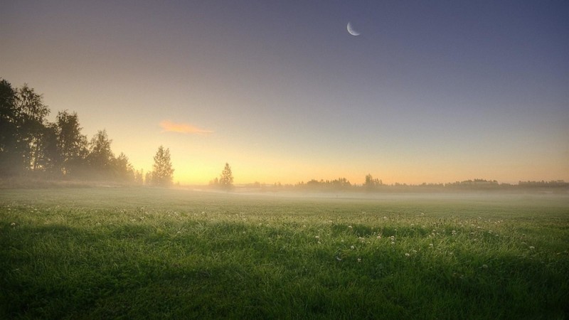 【V粉壁纸】清晨的雾高清桌面壁纸