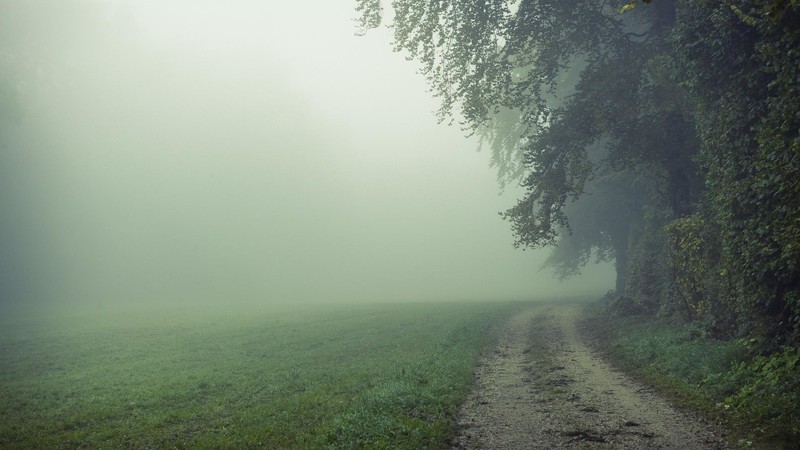 【V粉壁纸】清晨的雾高清桌面壁纸