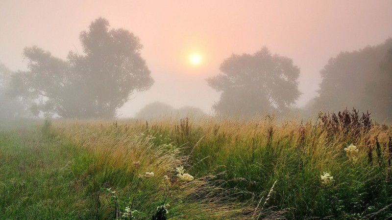 【V粉壁纸】清晨的雾高清桌面壁纸