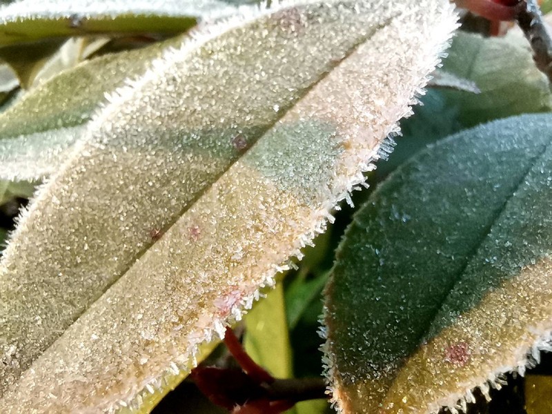 2020了，荣耀20尚能饭否？用随手拍来看荣耀20Pro照样能打