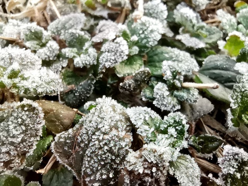 2020了，荣耀20尚能饭否？用随手拍来看荣耀20Pro照样能打