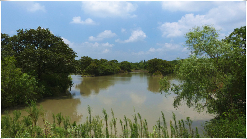 请教前辈们一个问题！V-lux4程序AE模式为什么曝光不足？