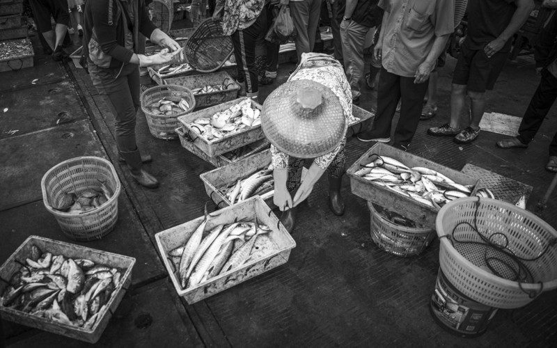 渔港里忙碌的人们