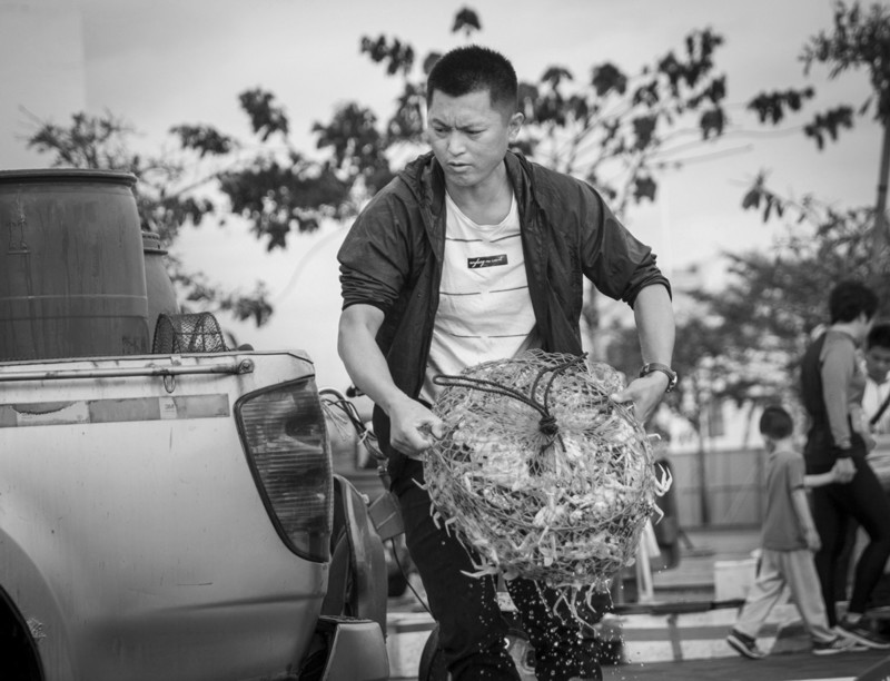 渔港里忙碌的人们