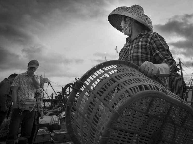 渔港里忙碌的人们