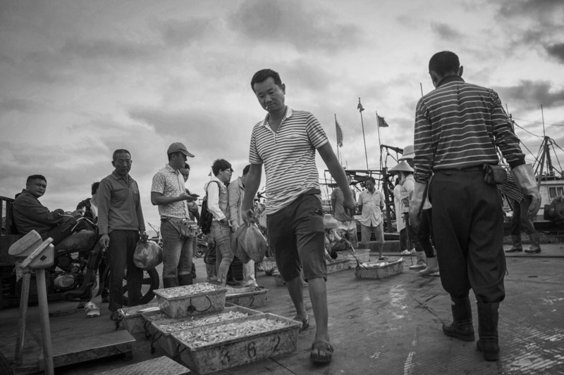 渔港里忙碌的人们