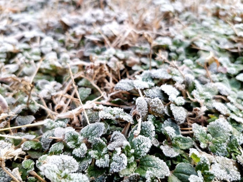 2020了，荣耀20尚能饭否？用随手拍来看荣耀20Pro照样能打