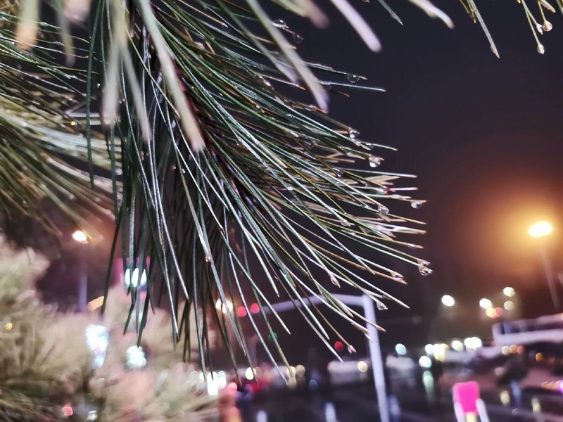 2020了，荣耀20尚能饭否？用随手拍来看荣耀20Pro照样能打