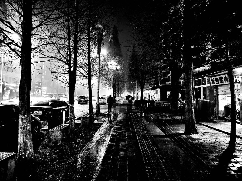 2020了，荣耀20尚能饭否？用随手拍来看荣耀20Pro照样能打