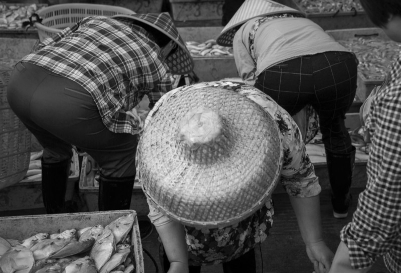 渔港里忙碌的人们