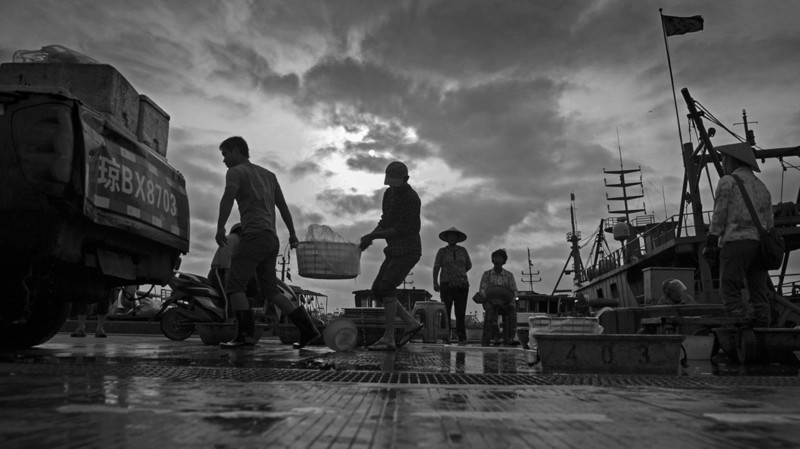 渔港里忙碌的人们