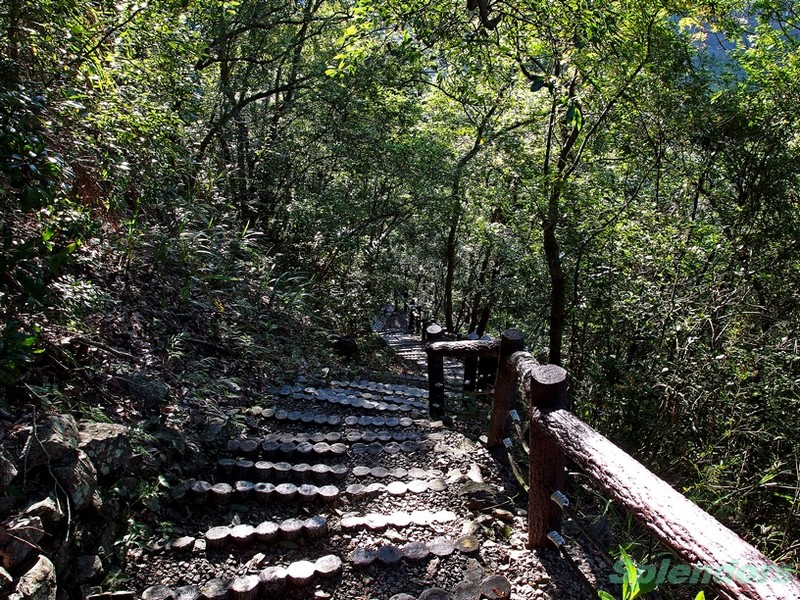 清晨山林步道  (與陽光槓上, 蓝天 + 绿林, 通通打包)