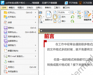 如何快速删除pdf其中的一页