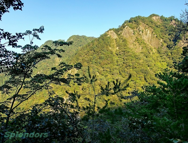 清晨山林步道  (與陽光槓上, 蓝天 + 绿林, 通通打包)