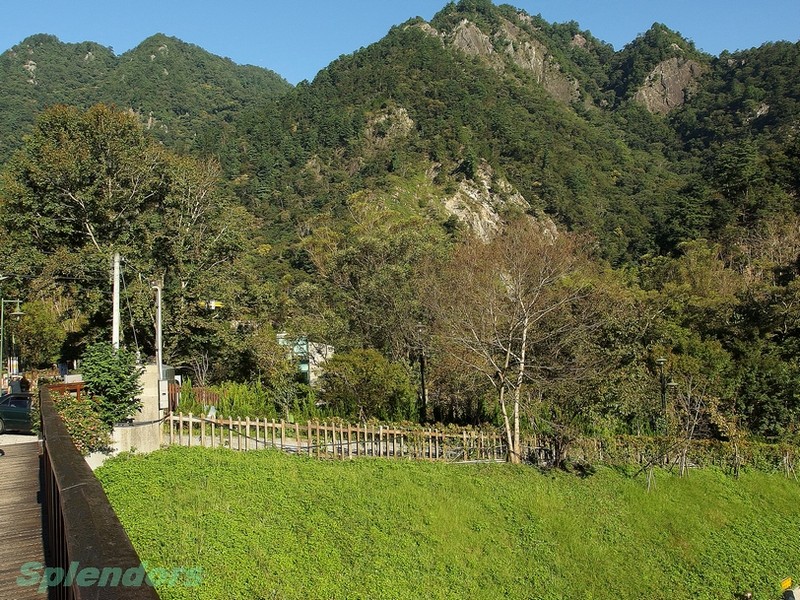 清晨山林步道  (與陽光槓上, 蓝天 + 绿林, 通通打包)
