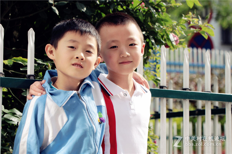 适马50-500试镜瞎拍